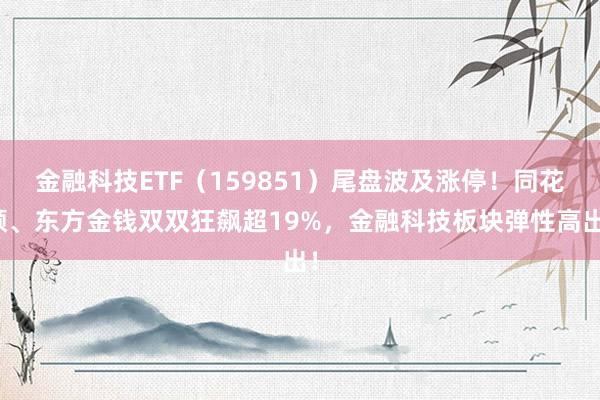 金融科技ETF（159851）尾盘波及涨停！同花顺、东方金钱双双狂飙超19%，金融科技板块弹性高出！